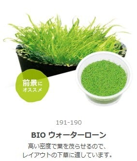ロタラ・トゥルナデンシス 水中葉1本 | aquarium shop earth
