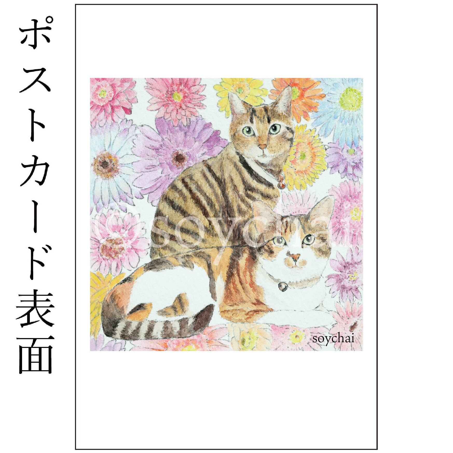 三毛猫さん+朝顔] ポストカード | soychai