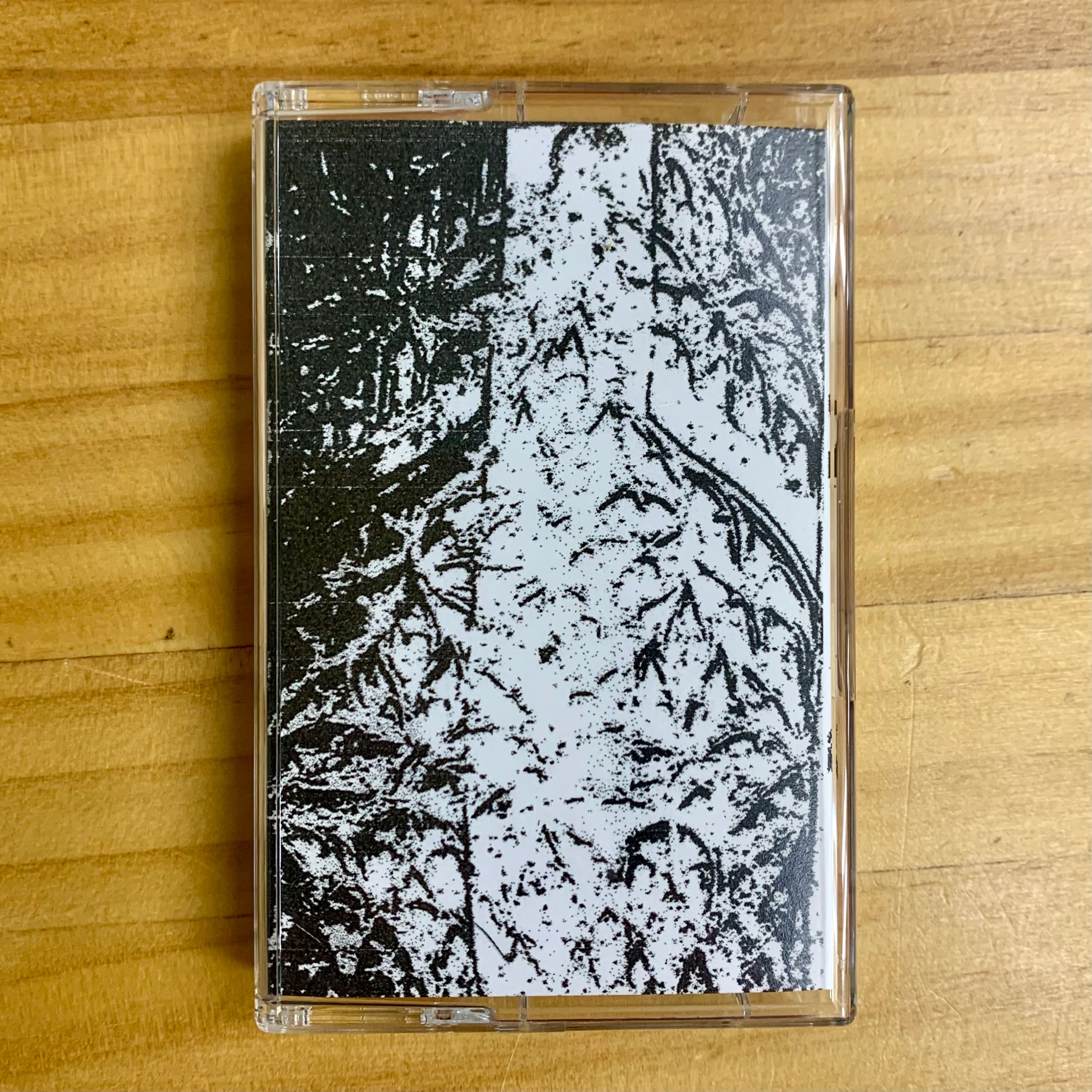 Punk | 円盤 Peninsula (ディスクペニンシュラ) 栃木県小山市CD