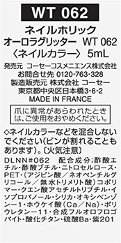 NAIL HOLIC(ネイルホリック) オーロラグリッター マニキュア WT062 5ミリリットル (x 1)