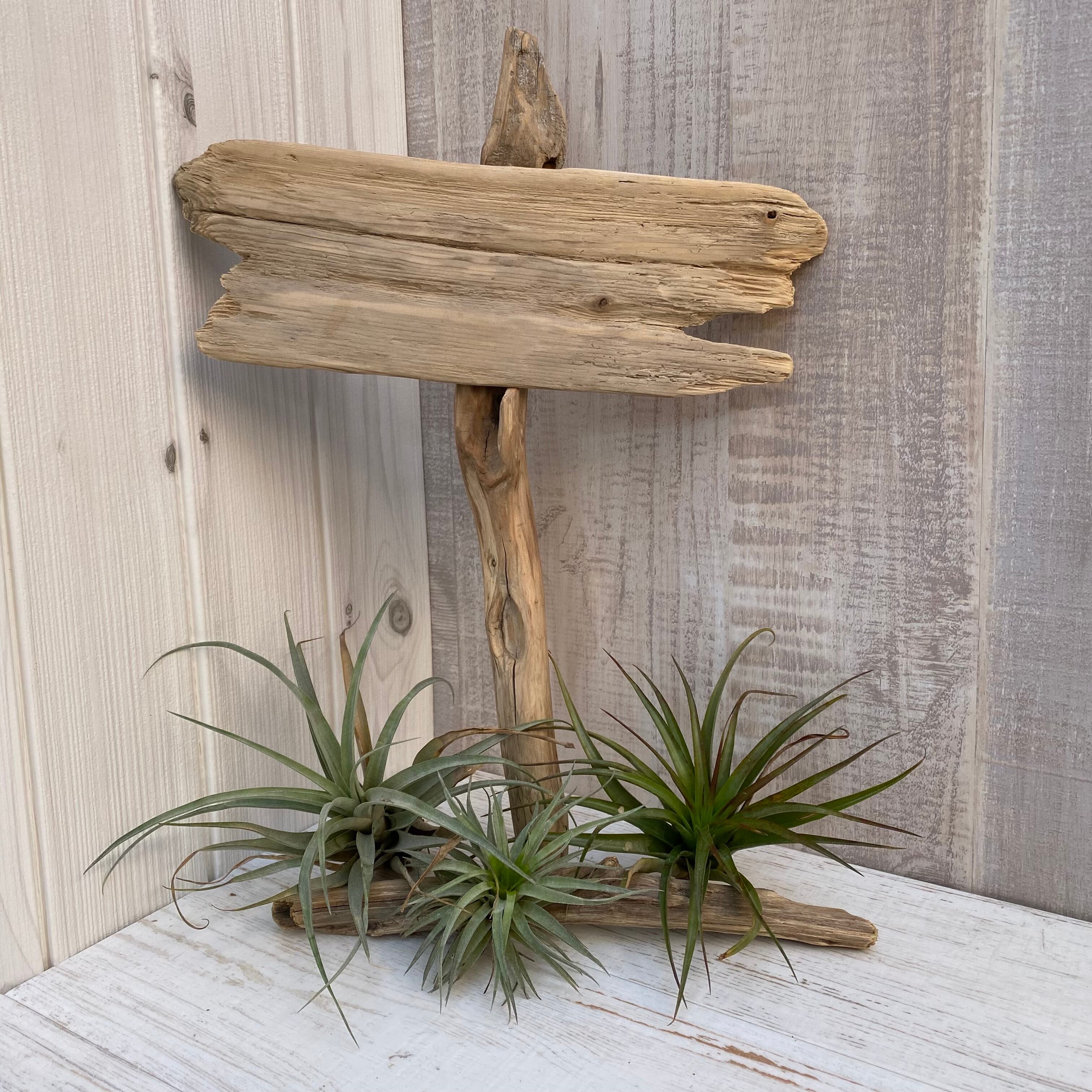 流木インテリア 看板型オブジェ 1020400006 | Pay ID