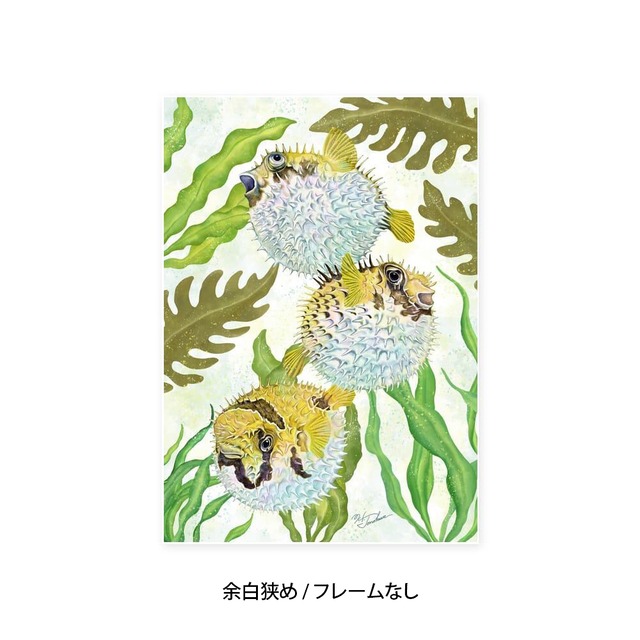 A2｜ぷくぷくハリセンボン（フレームなし）
