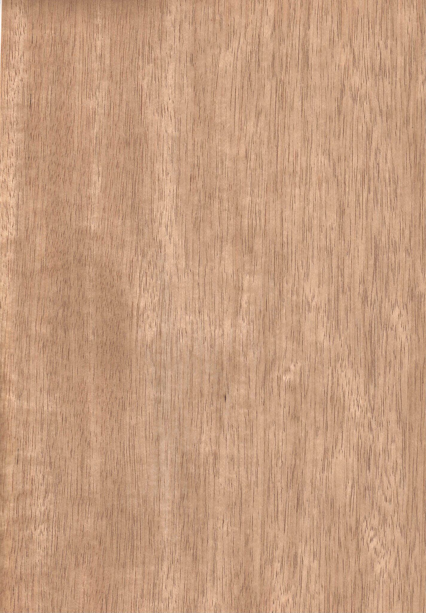 天然木ツキ板シート リンパ A4 210mm×297mm | poke