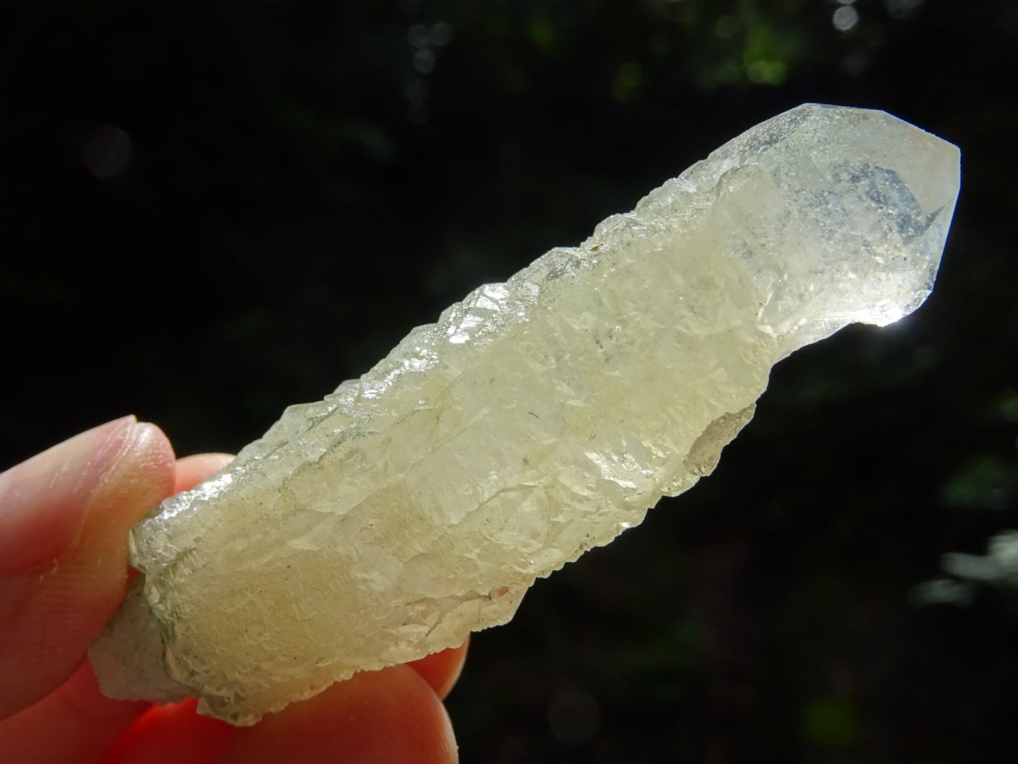 Botanical Crystal~木霊~ | 虹石屋