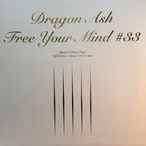 DRAGON ASH - FREE YOUR MIND #33