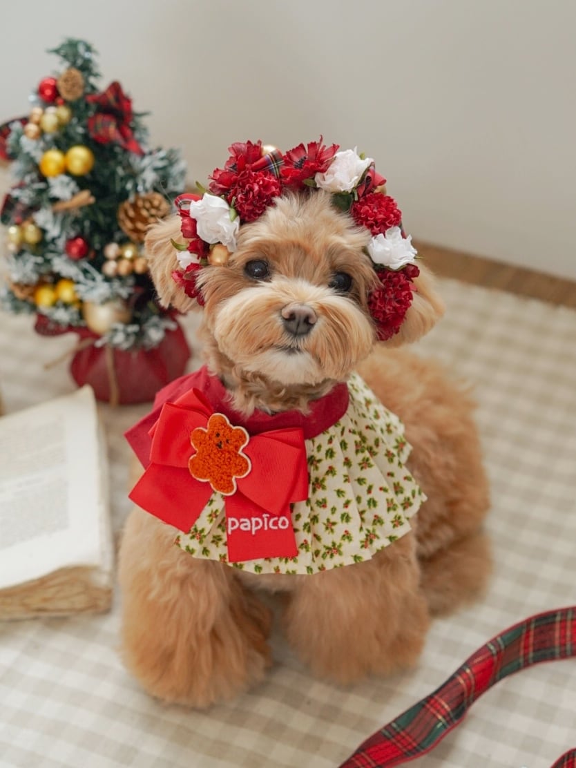 〈予約アイテム〉Drops Flora Crown - Christmas ver. Red check ribbon
