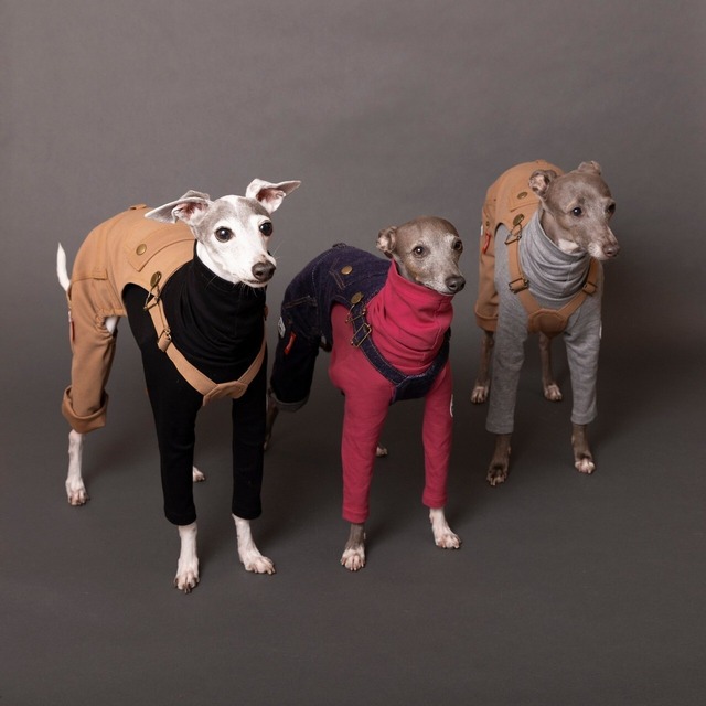 ハイネックタートルロングTシャツ　black / イタグレ服