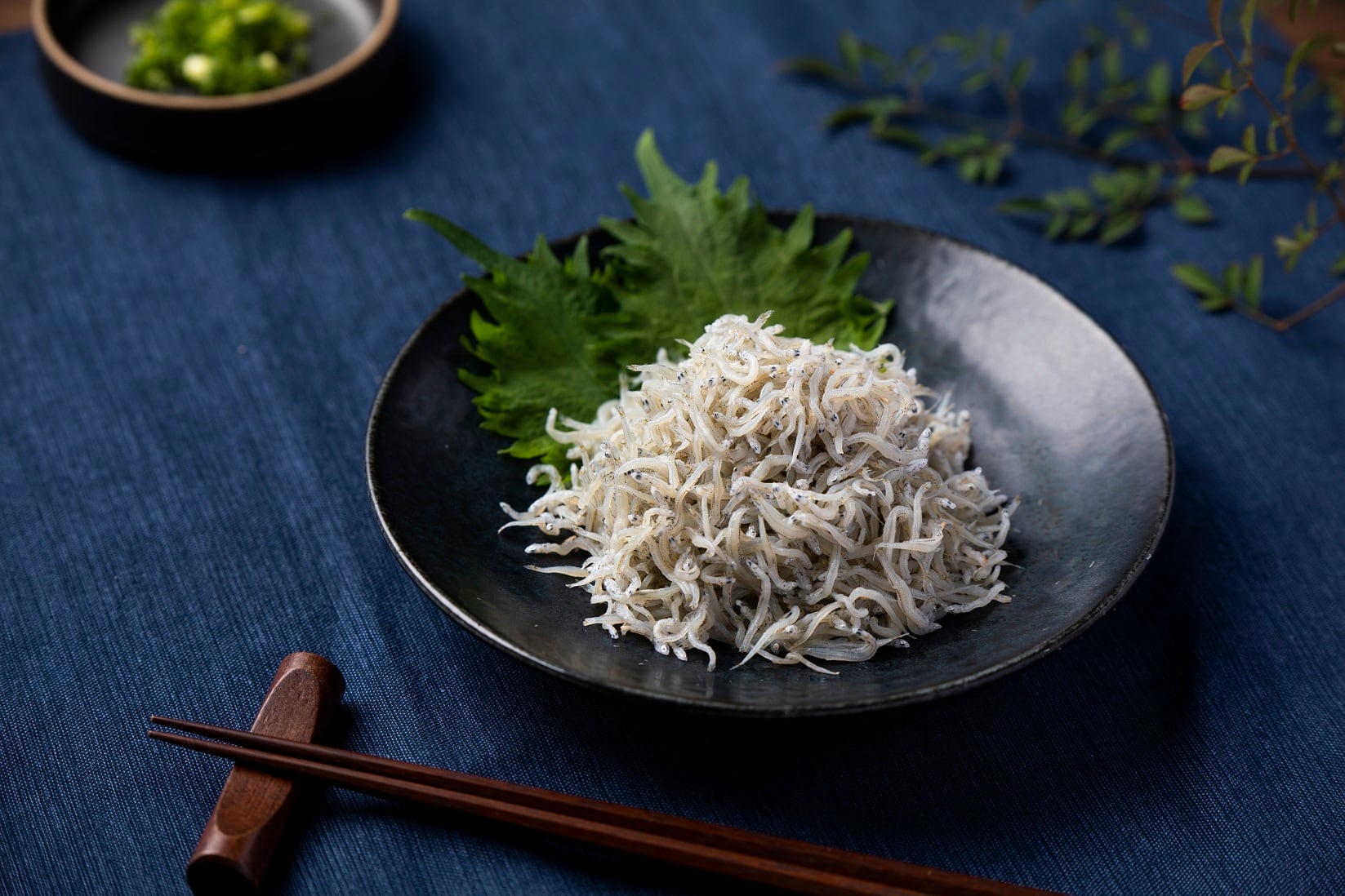 しらす干し 500g | カネ光水産オンラインショップ