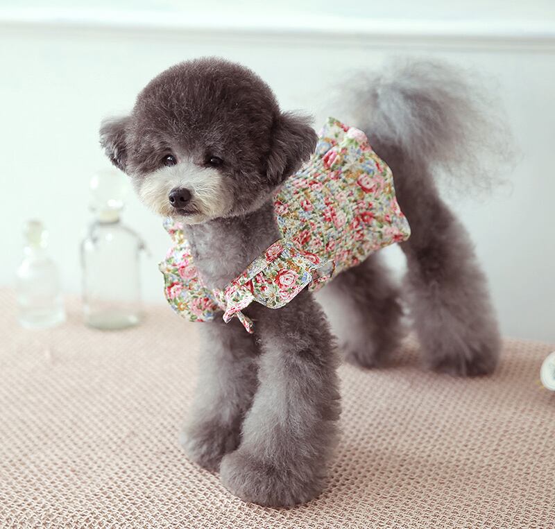 flower crop lace sleeveless S ~ XL 2color / 犬 服 クロップドトップス 犬の服 犬服 ショート丈 ペット洋服 ドッグウェア ペット用品 小型犬 中型犬 春夏 新作 お揃い 花柄 b55