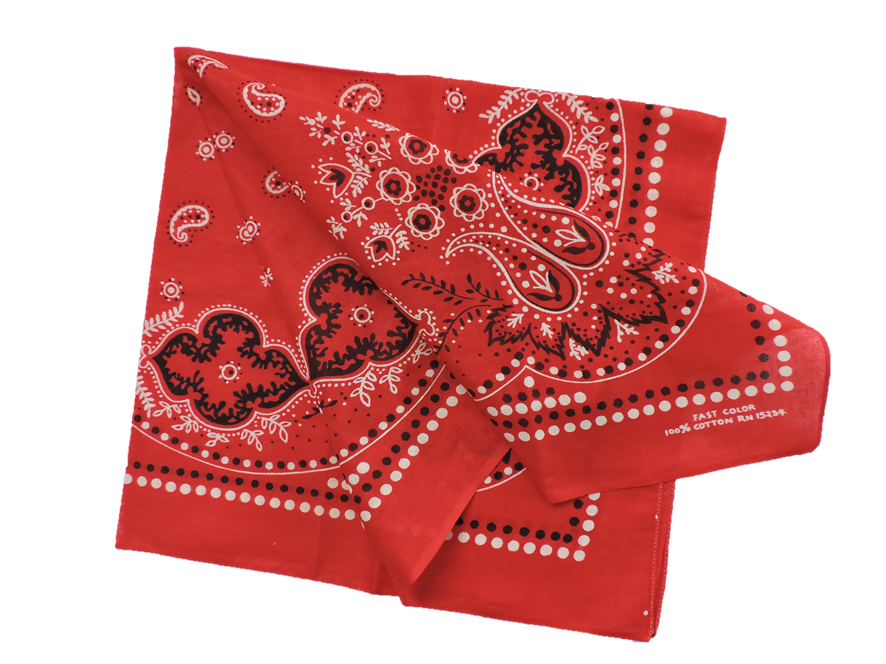 VISION STREET WEAR スカル柄バンダナ VISION STREET WEAR スカル柄