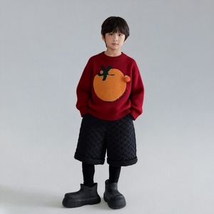 冬柿柄セーター