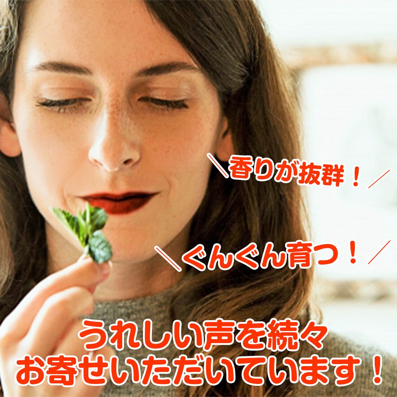 ハーブ 苗 10個 お試しセット | ハーブ苗のポタジェガーデン 本店