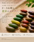 【旬の2〜3品種を食べ比べ】福島県産フィンガーライム 50g