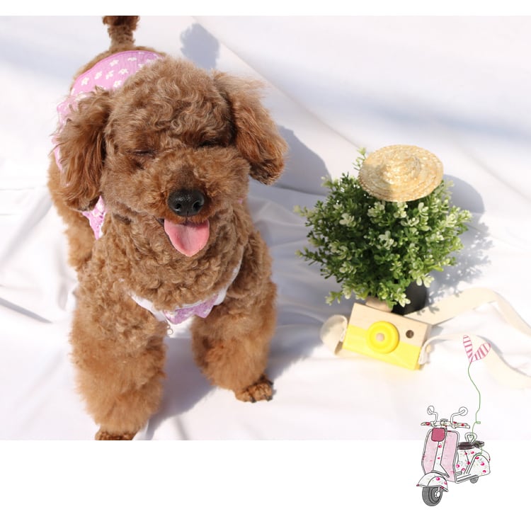 【SALE】daisy onepiece S ~ XL 3color  /  犬服 春夏 新作 ワンピース 小型犬 中型犬 犬の服 ドレス 袖なし 花柄 ドッグウェア 可愛い お揃い onepiece46