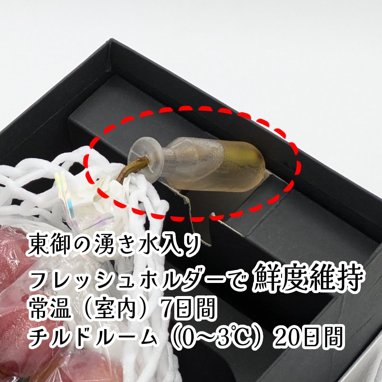 千房に一房の出会い【ラグジュアリーギフト】クイーンルージュ®約700g