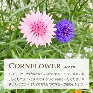 【エディブルフラワー】暖色系詰め合わせ・化学肥料/農薬不使用の安心して食べられるお花　50輪