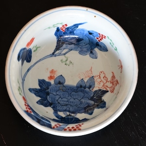 【50706】 牡丹とちょうちょ 中鉢 / Mid size Bowl Peony