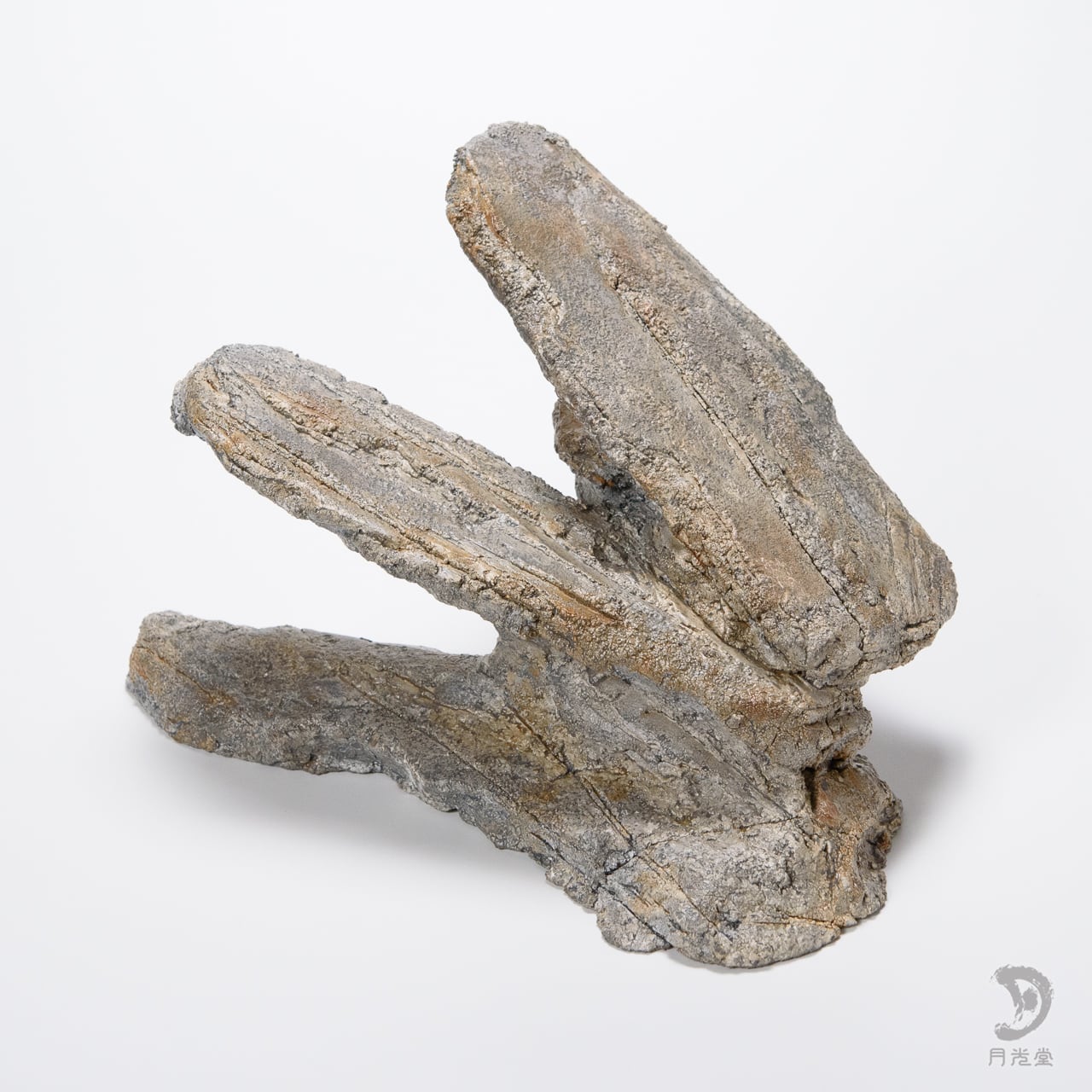 バスキングスロープ | 月光堂｜爬虫類シェルター 爬虫類 シェルター