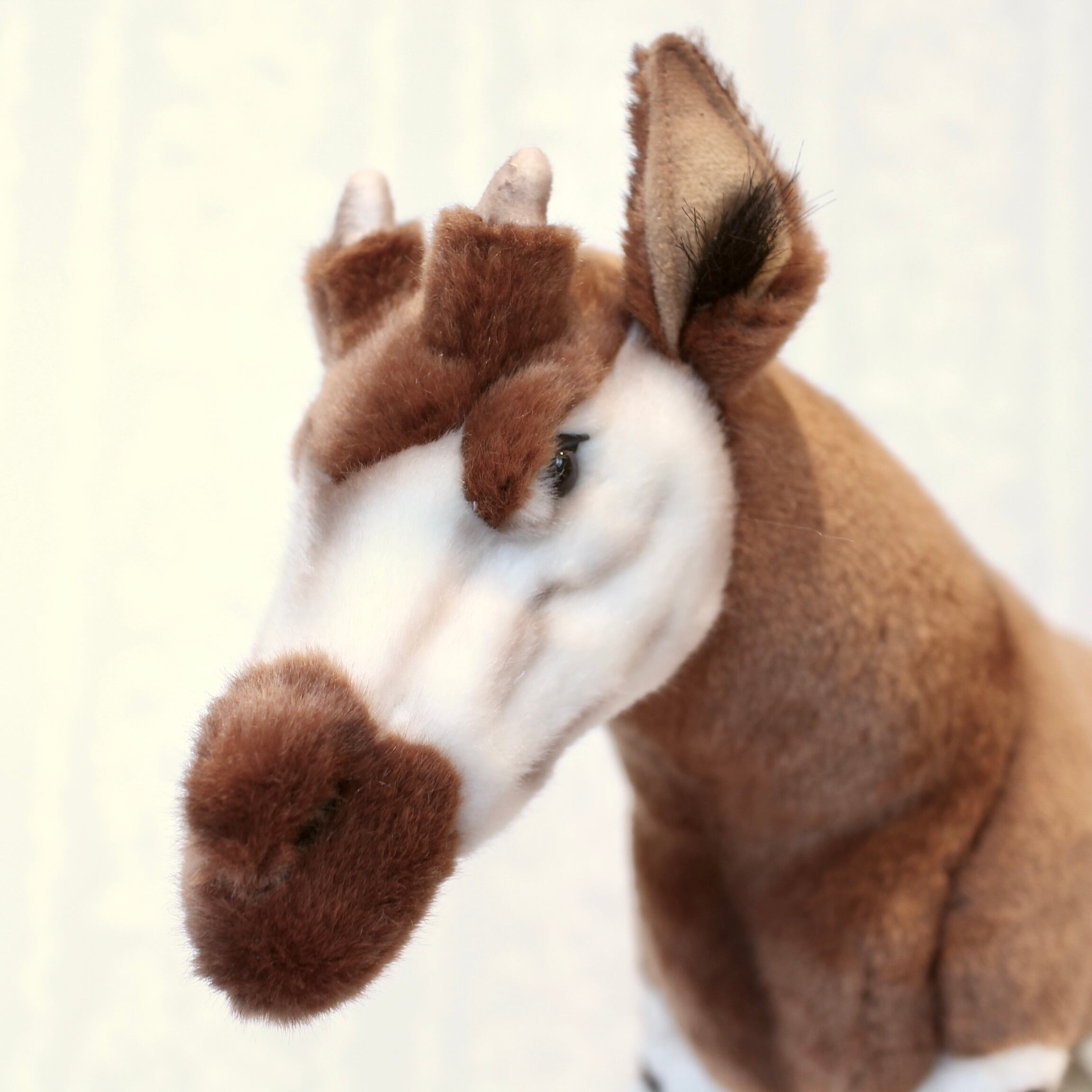 d6151ca2b1b4466ad7c1daee732ffa