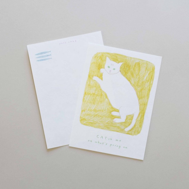 Post Card〈猫〉