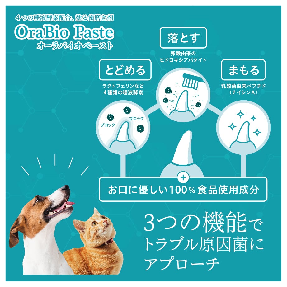 OraBio Paste デンタルケア 7本セット オーラバイオペースト（4種の唾液酵素&乳酸菌培養エキス配合）歯磨剤