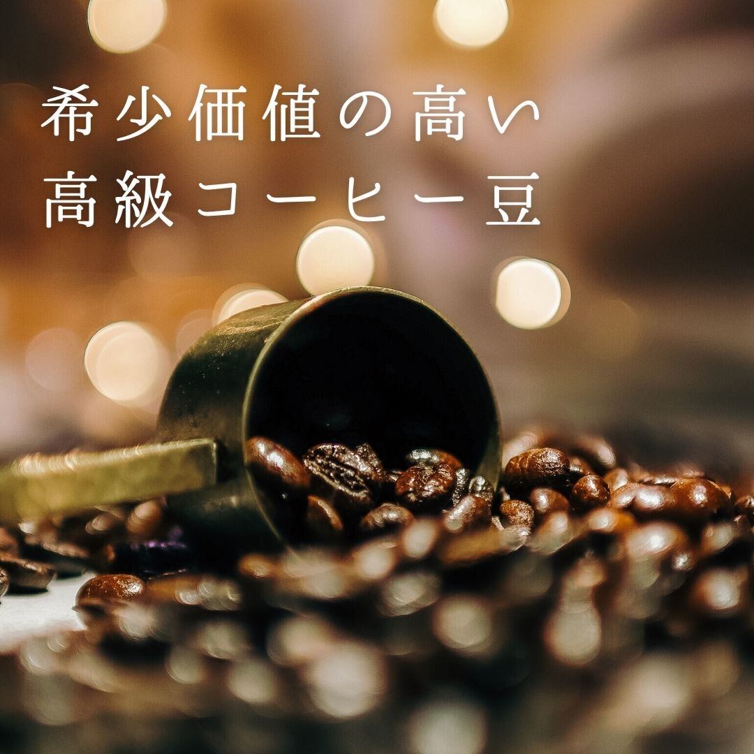 ギフト】高級缶入り 2種 パナマゲイシャ・エチオピアゲイシャ 各100g