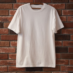 PATAGONIA (パタゴニア) DEAD STOCK "Organic Cotton T-shirt MADE IN USA" -WHITE-