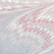 「雛鳥」〜洗えるきもの（シルジェリー）〜