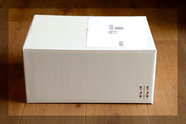 【金鵄米 /白米/5kg】きんしまい2024年産：冷めても美味しいヒノヒカリ