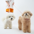 【PUPPYGALLERY公式】ポーカーフェイス・レトロフラワー首輪 S