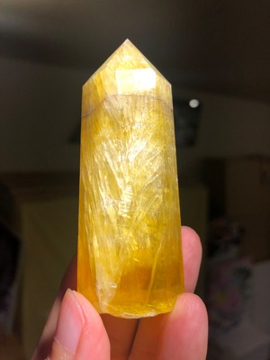 明るい希望と才能を引き上げる黄龍