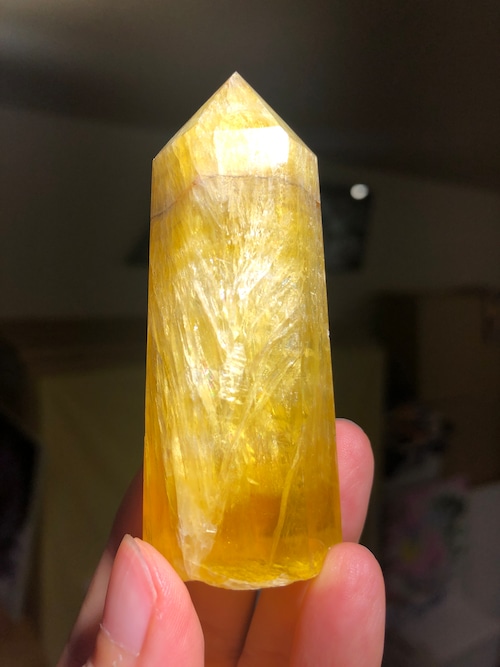 明るい希望と才能を引き上げる黄龍