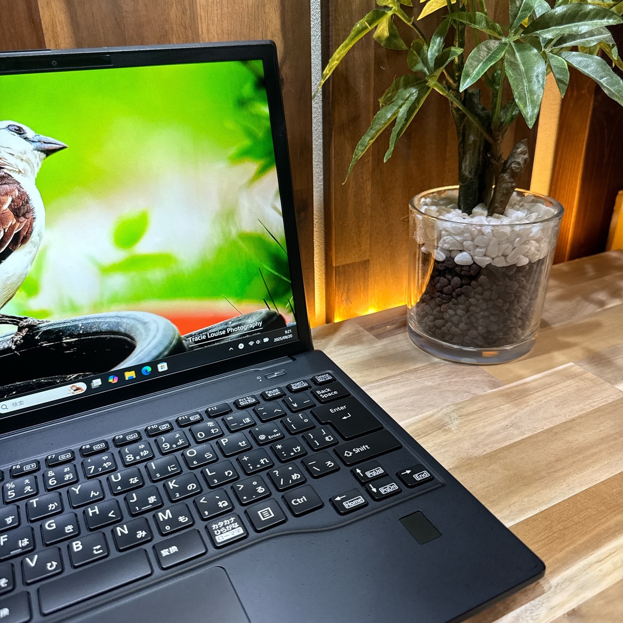 \ 公式ショップ限定価格❣️/ LTEモデル《2023年発売》LIFEBOOK U9313/M 13.3インチ第13世代 SSD256GB 軽量 ノートパソコン 安心サポート&3ヶ月保証付き