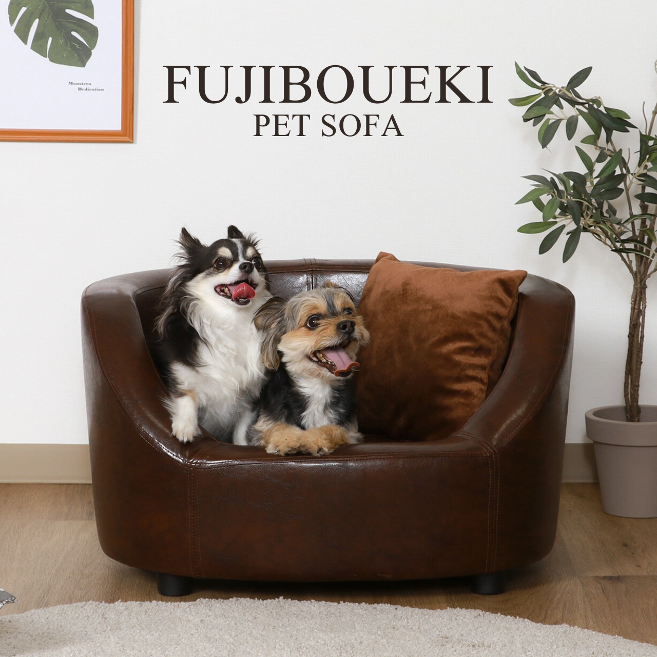 F-PET SOFA