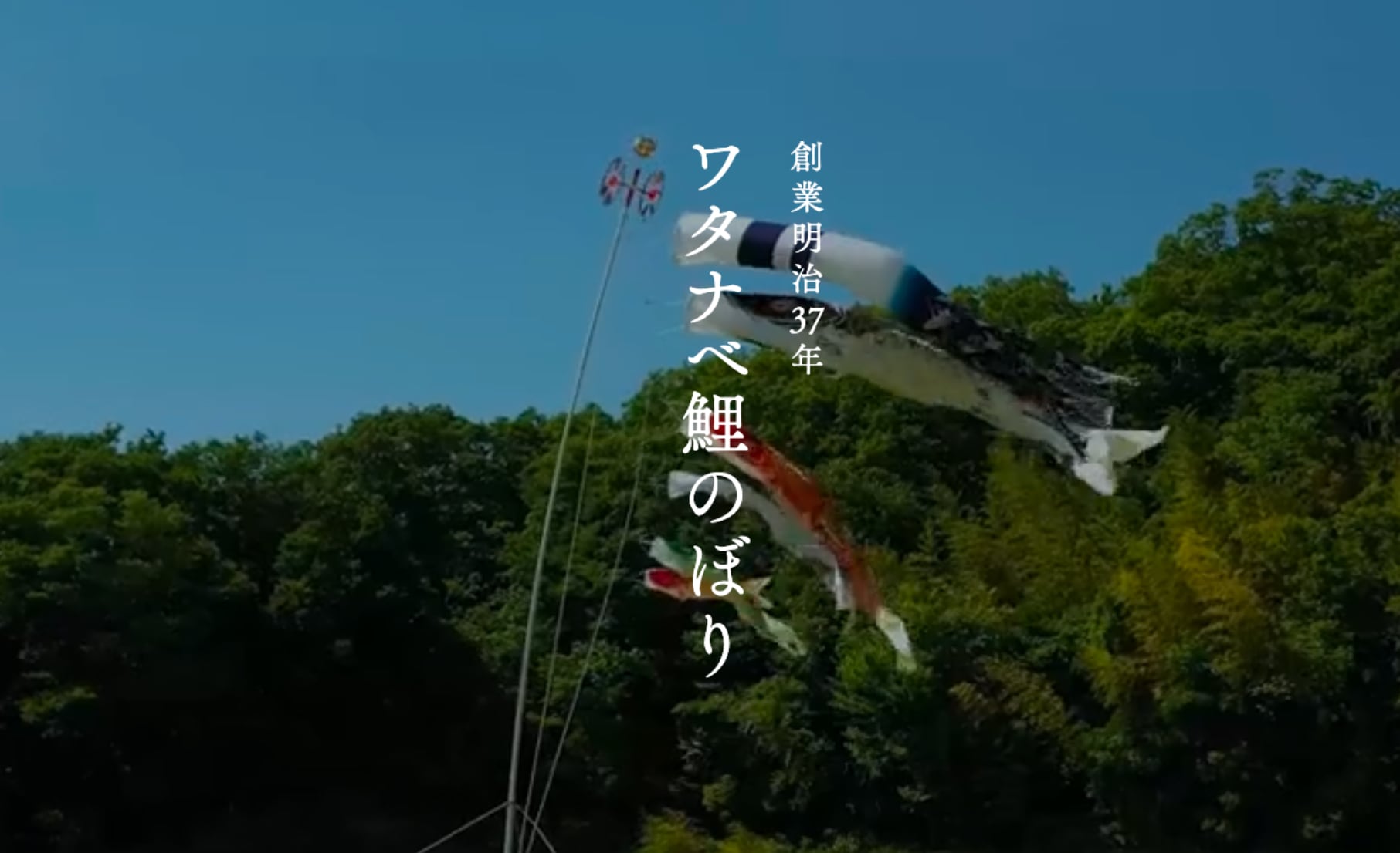 鯉のぼり 万能型スタンド セット☆1.5m 東洋紡 1度・1ヶ月程使用