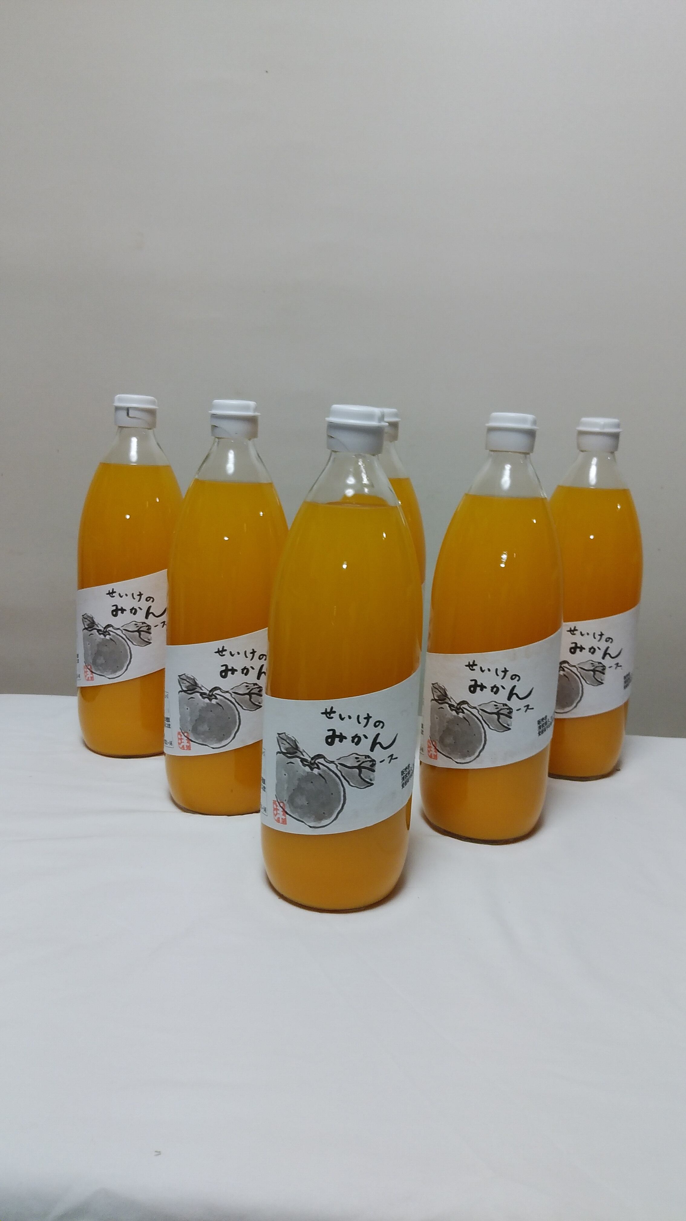 choco.and.love様 真穴産みかんジュース 12本 720ml みかん箱