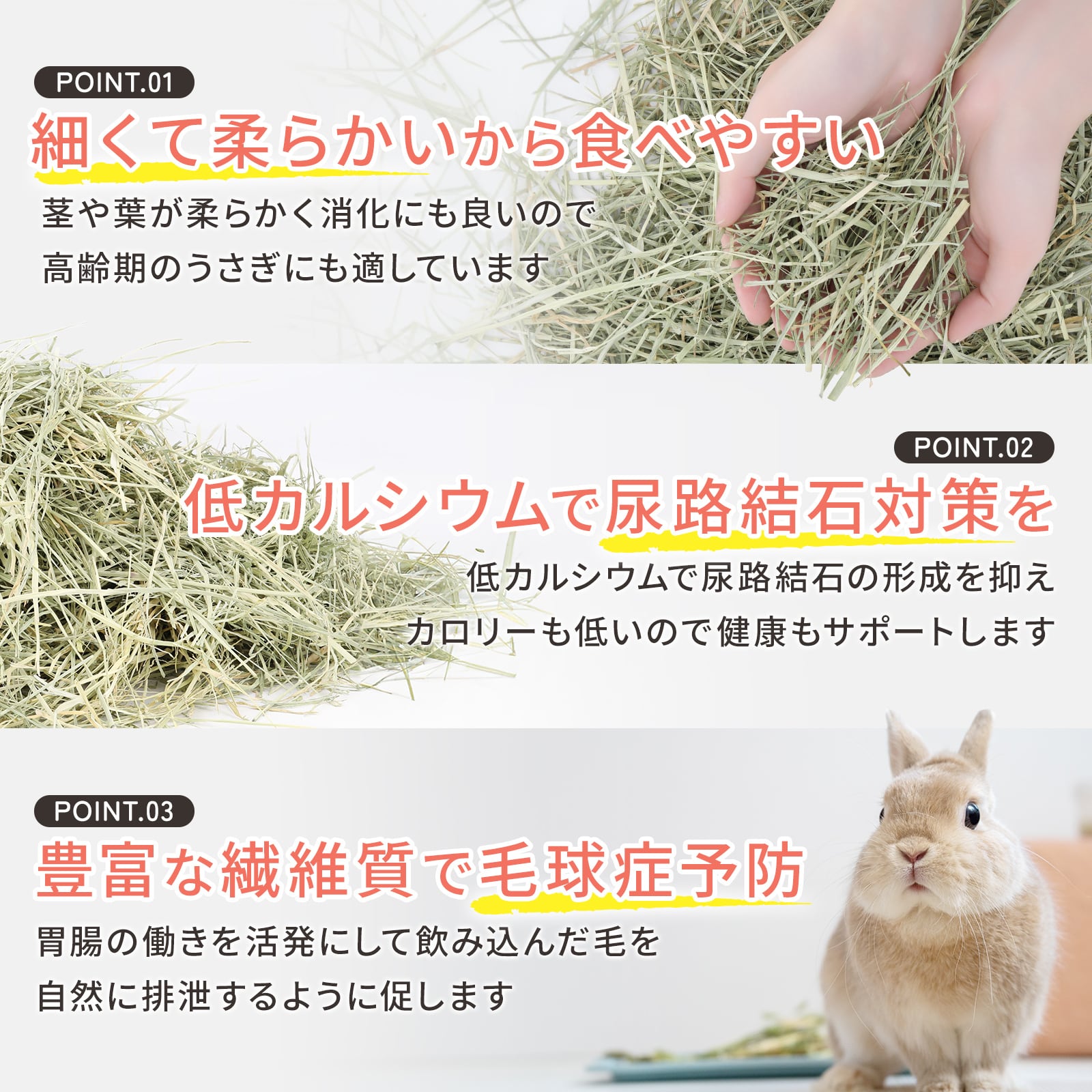 牧草王国 クレイングラス 500g×6袋 | うさぎの牧草チモシーもふぱふぇ