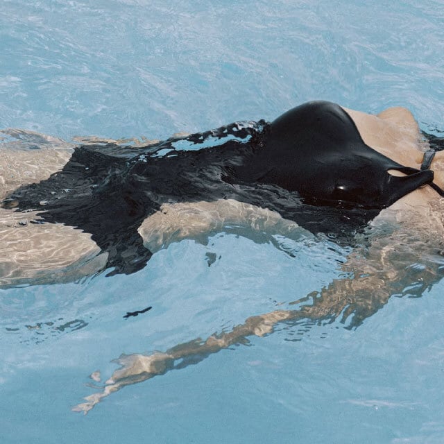 ワンピース水着 黒 バックシャン セクシー | y-boueki -import swimwear -