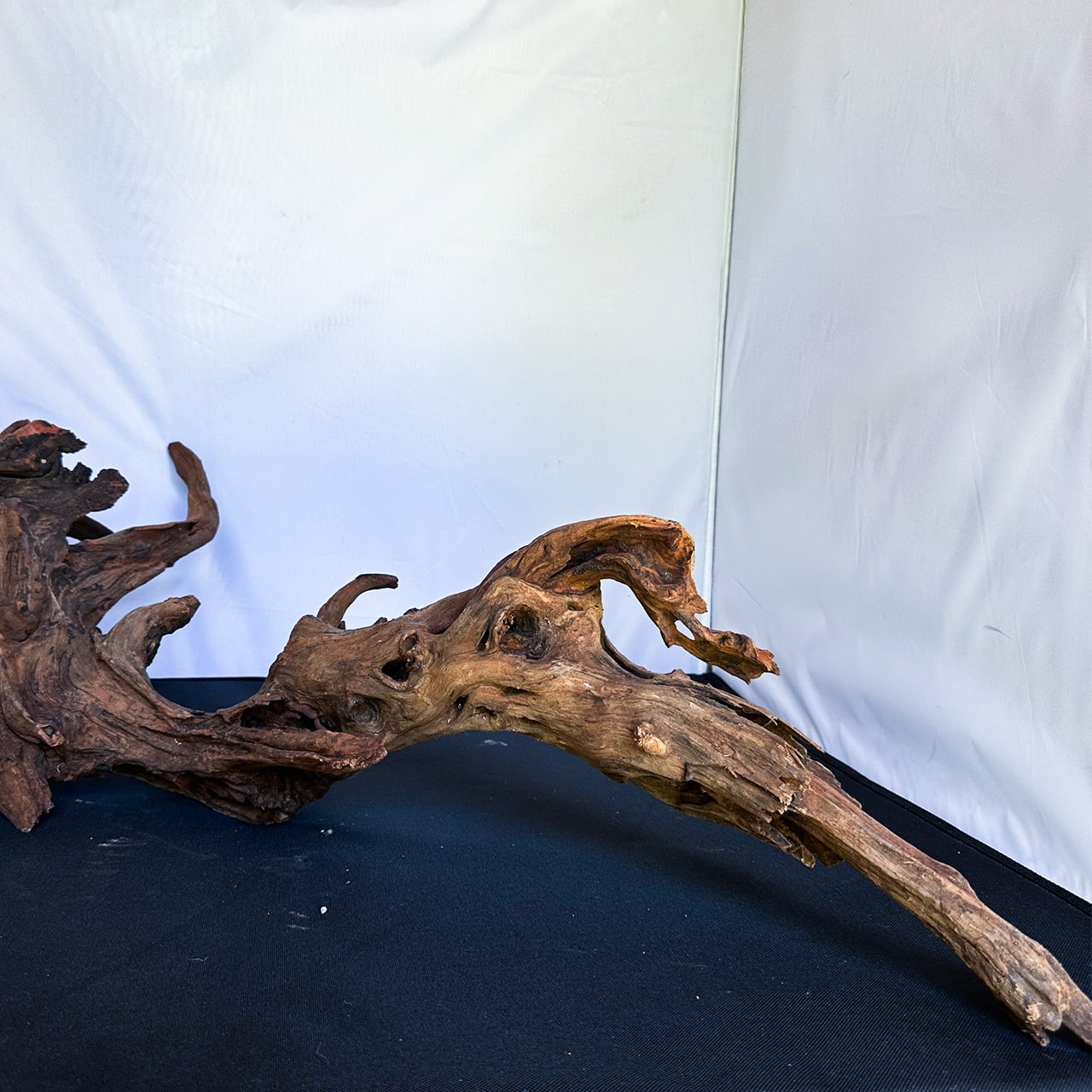 悠久の時を刻む威容のシンボル】ディープホーンウッド/Deep Hornwood