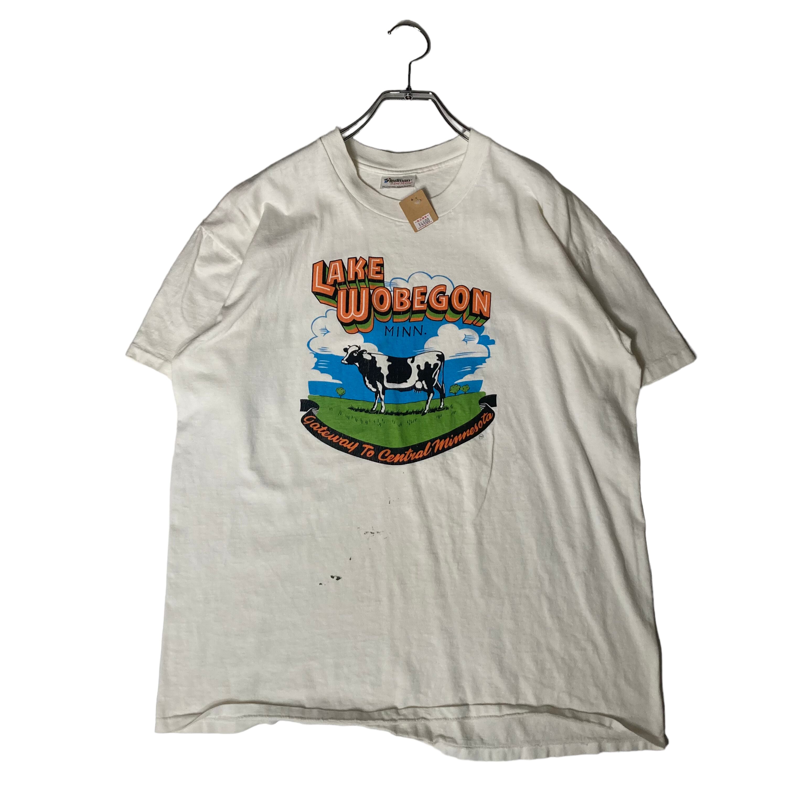 80s】【Made in USA】stedman 半袖Tシャツ XL コットン100% プリント 