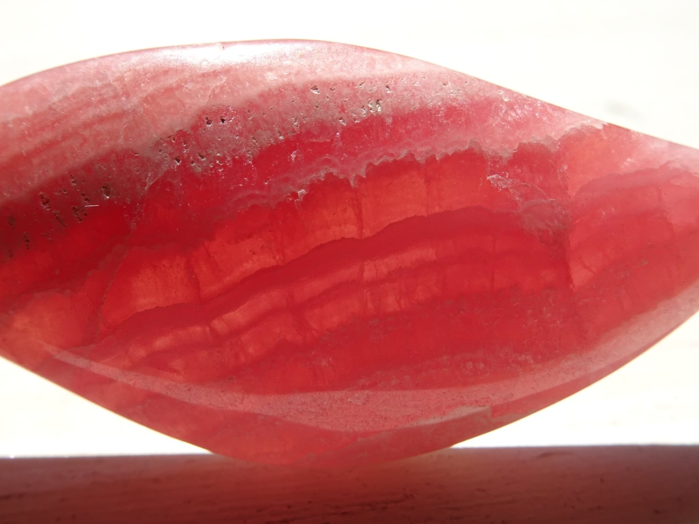 アルゼンチンインカローズ(High Quality) ~愛の羽根~