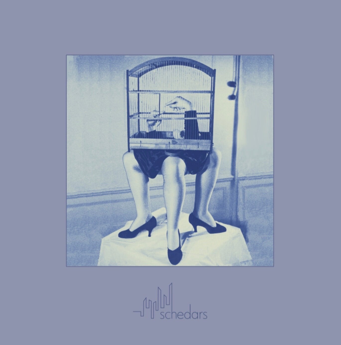 schedars / schedars（LP）