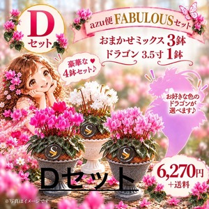 【M.M様専用ページ】 Dセット＋おまかせミックス1鉢
