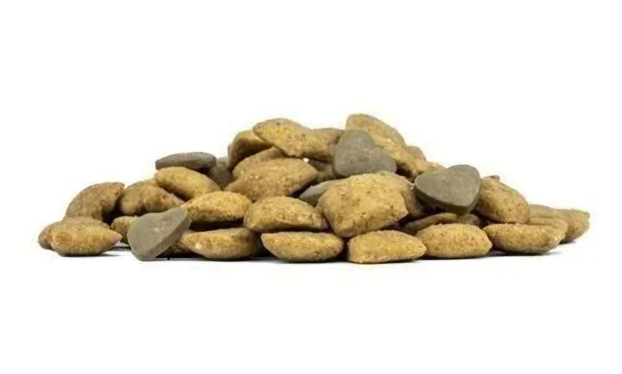 FORZA10 インテスティナル アクティブ ミニ 250g 胃腸・画像3