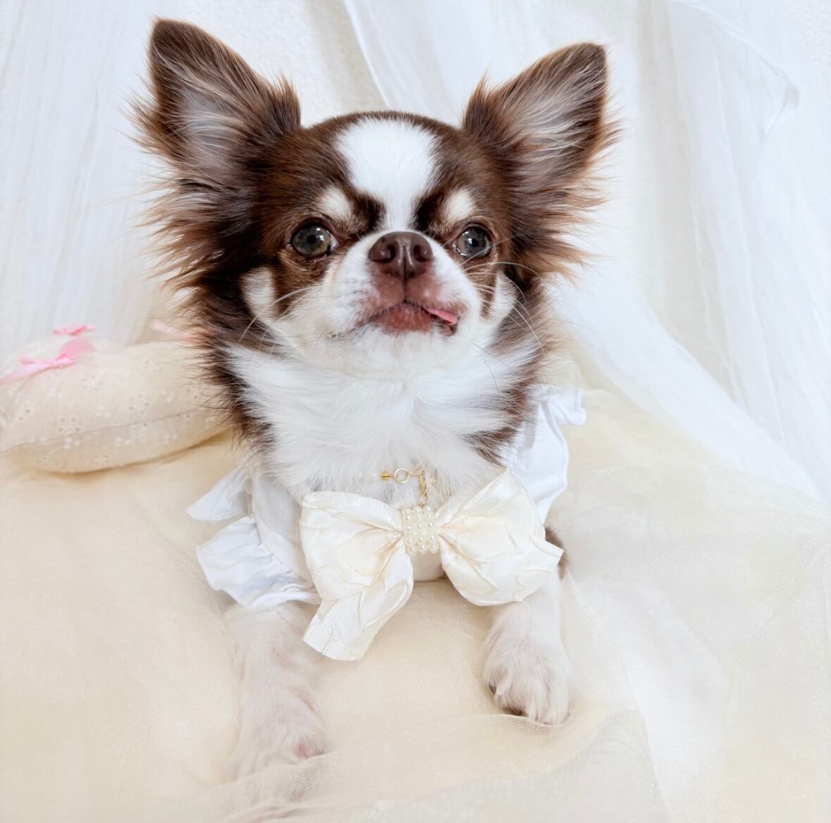 シャカシャカピンクハートネックレス（新作＊バックリボン付き）