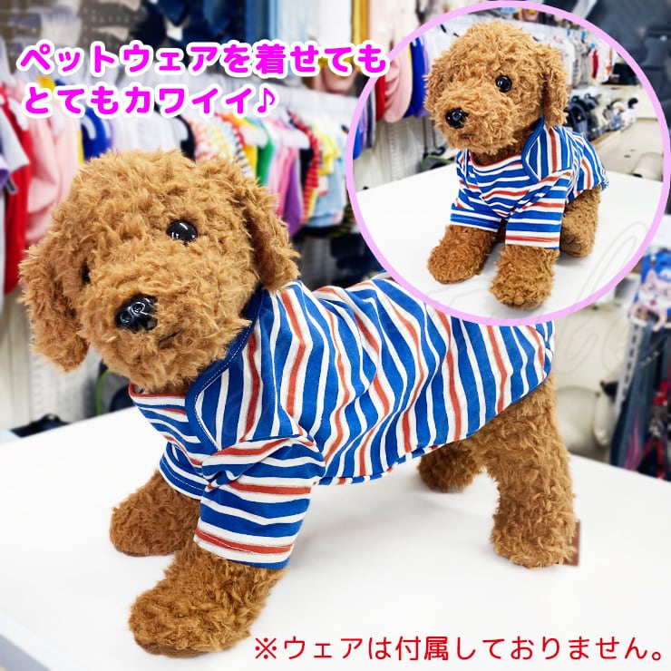 トイプードル ペットドール トルソードール モノトーン マネキン 犬