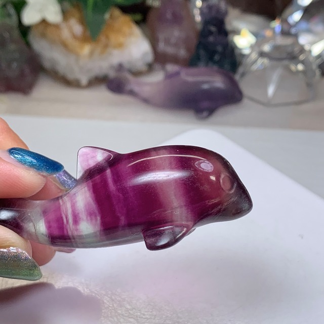 7.癒☆可愛いフローライトイルカさん