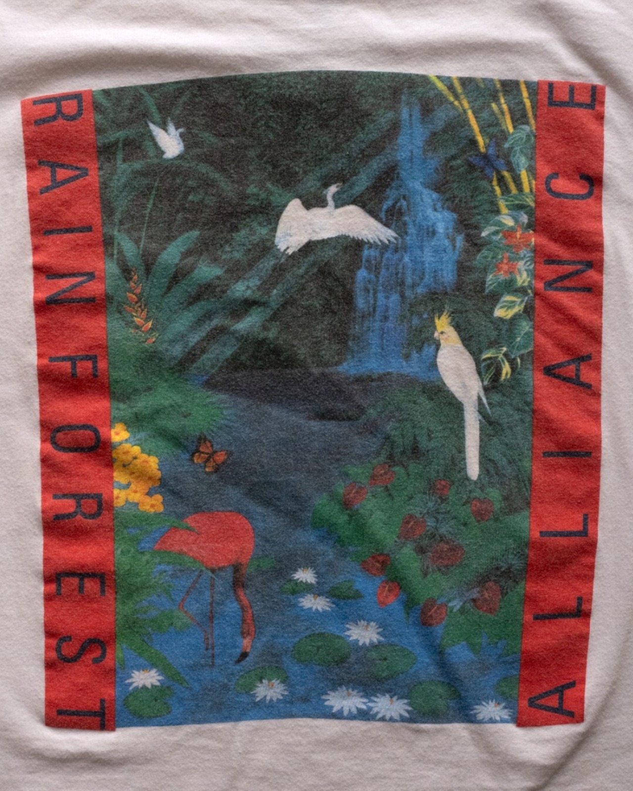 【古着】 ”Rainforest Alliance” 熱帯雨林保護 アートT - 10