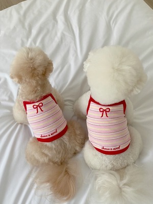 予約【cheese n mood】Stripe Ribbon Top (Red)