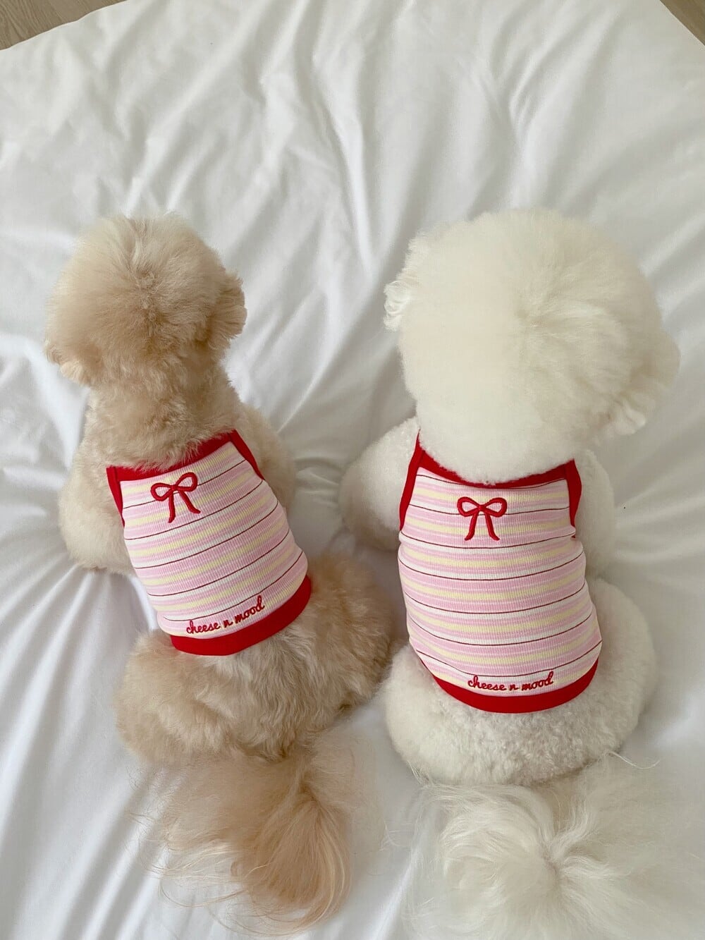 予約【cheese n mood】Stripe Ribbon Top (Red)